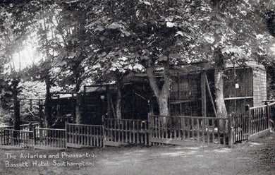 Hampshire Postcard - The Bassett Hotel, Southampton  SW18288