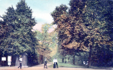 London Postcard - In Battersea Park  SW18394