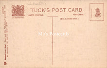 Load image into Gallery viewer, Lincolnshire Postcard - Lincoln, Pottergate   SW18515

