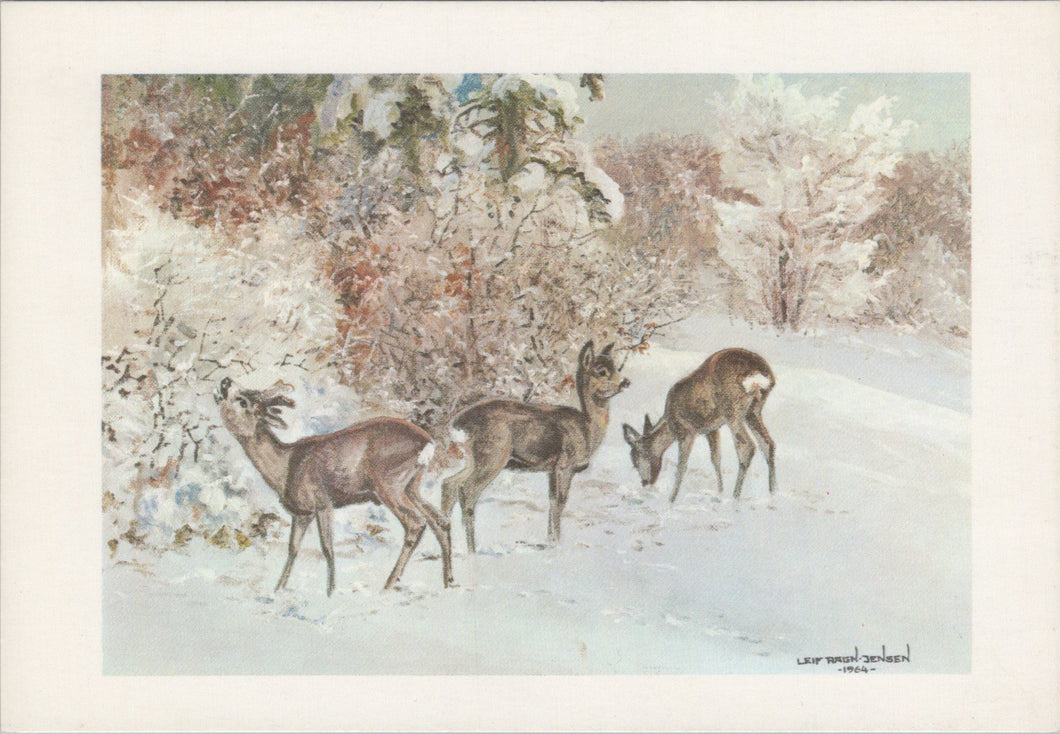 Animal Art Postcard - Deer, Artist Leif Ragn-Jensen SW16929