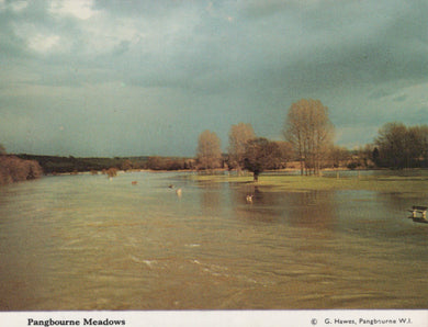 Lake with trees and a cloudy sky, labeled 'Pangbourne Meadows'.