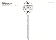 Load image into Gallery viewer, Back of a postcard with &#39;Drumahoe Graphics&#39; branding and text.
