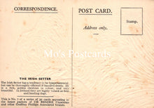 Load image into Gallery viewer, Animals Postcard - Dogs, The Irish Setter  SW18914
