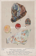 Load image into Gallery viewer, British Museum Postcard - Precious Stones, Opal  SW18918
