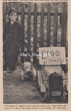 Load image into Gallery viewer, Animals Postcard - Dogs, Dave and Dusty   SW18926
