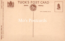 Load image into Gallery viewer, Animals Postcard - Dogs, Dave and Dusty   SW18929
