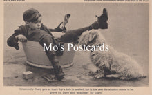 Load image into Gallery viewer, Animals Postcard - Dogs, Dave and Dusty   SW18930
