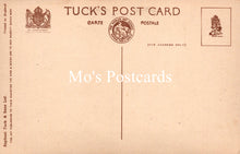 Load image into Gallery viewer, Animals Postcard - Dogs, Dave and Dusty   SW18939

