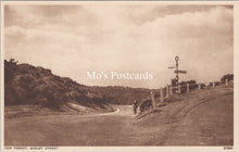 Load image into Gallery viewer, Hampshire Postcard - The New Forest, Burley Street  SX101
