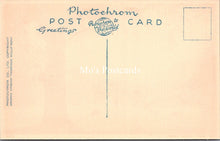 Load image into Gallery viewer, Hampshire Postcard - The New Forest, Burley Street  SX101
