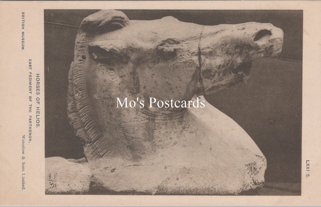 British Museum Postcard - Horses of Helios, The Parthenon SX110