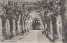 Load image into Gallery viewer, Dorset Postcard - The Avenue, Christchurch Priory    SX128
