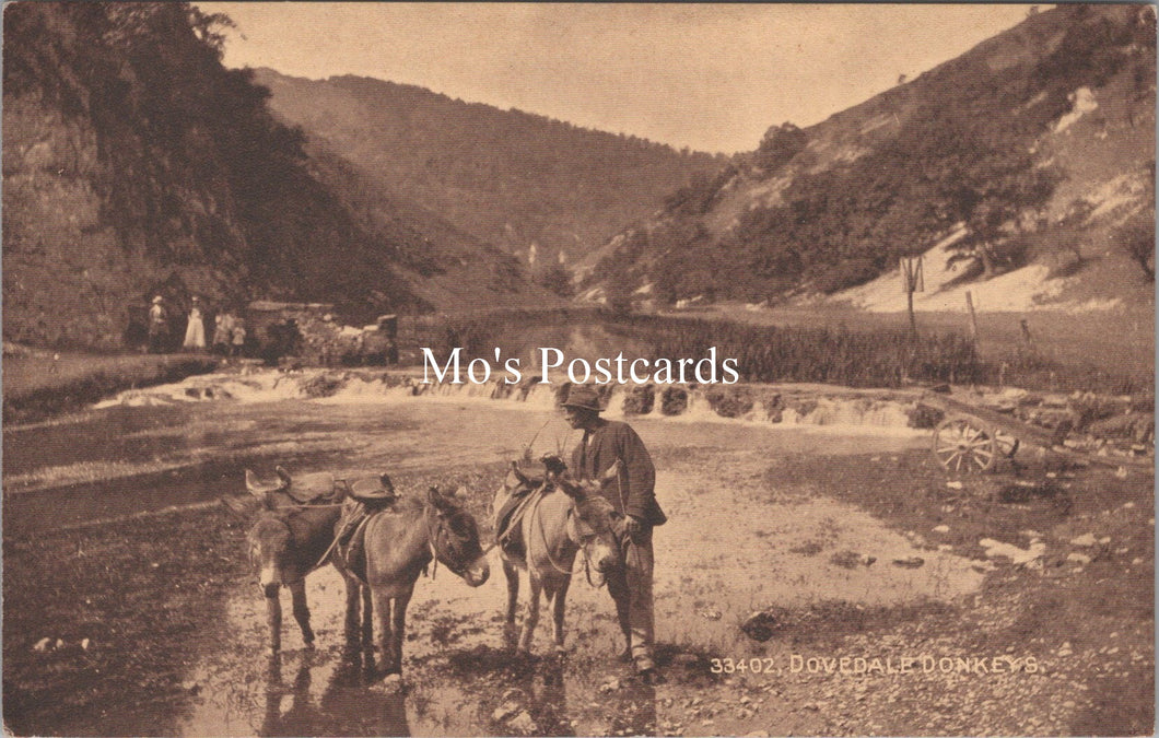 Derbyshire Postcard - Dovedale Donkeys  SX131