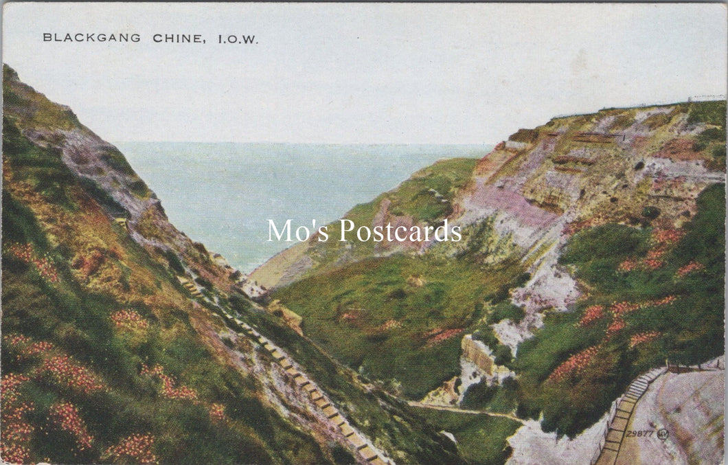 Isle of Wight Postcard - Blackgang Chine  SX132