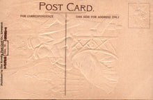 Load image into Gallery viewer, Back of a vintage postcard with embossed design and text.
