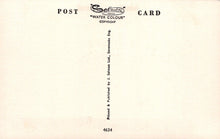 Load image into Gallery viewer, Back of a postcard with &#39;Salmon&#39; watercolor branding and text.
