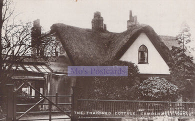 London Postcard - The Thatched Cottage, Camberwell Grove  SW20206