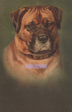 Load image into Gallery viewer, Vintage-style illustration of a dog with a dark green background
