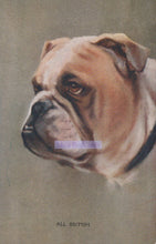 Load image into Gallery viewer, Artistic depiction of a bulldog&#39;s face on a textured background
