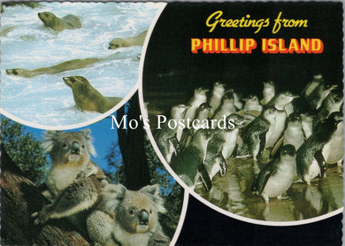 Australia Postcard - Animals on Phillip Island, Victoria SX270