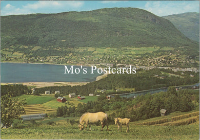 Norway Postcard - View of Voss, Vestland County   SX423