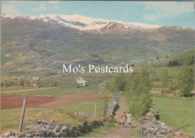 Norway Postcard - Myrkdalen Valley, En Route Voss  SX428