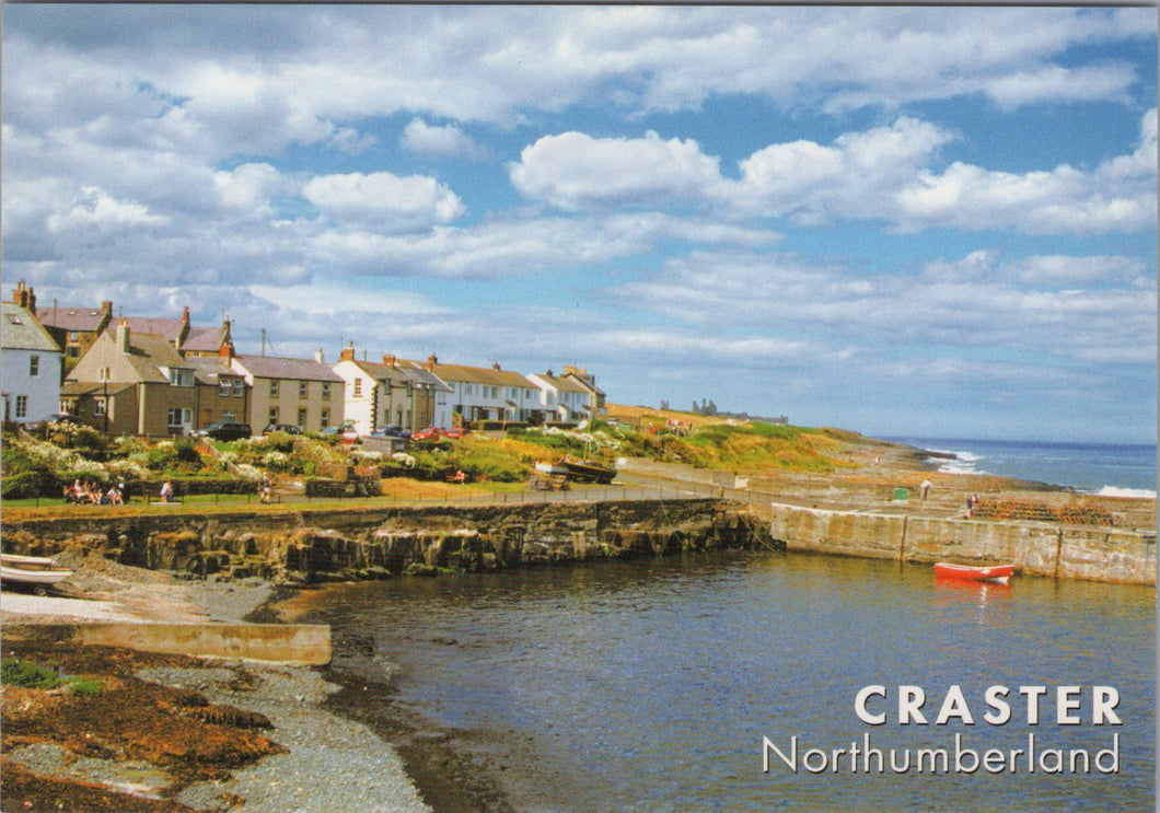 Northumberland Postcard - Craster Fishing Village   SW17090