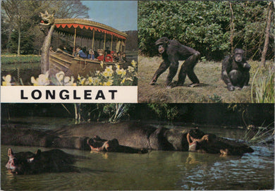 Animals Postcard - Monkeys and Hippopotamus, Longleat  SW17112