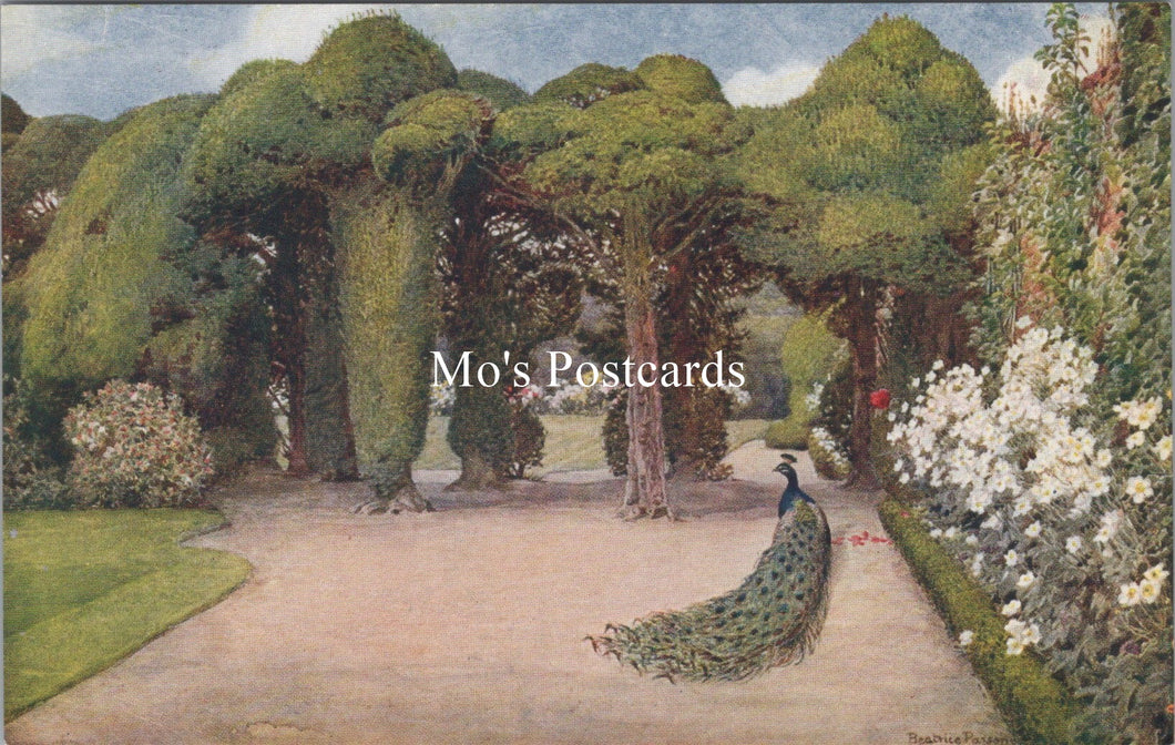 Nature Postcard - Entrance in The Garden, Ayscough Fee Hall  SW18344