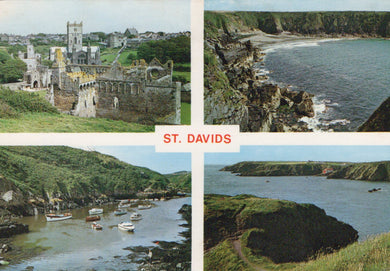 Collage of St. Davids featuring a castle, coastal cliffs, and a harbor.