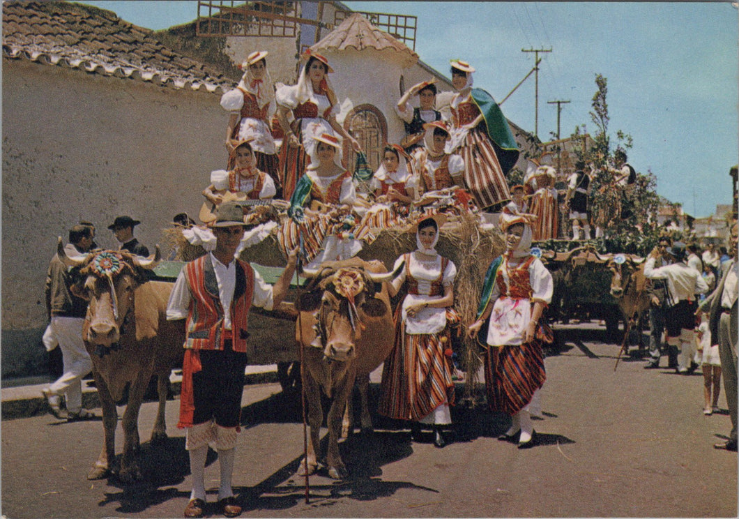 Spain Postcard - Canarias Tipica Romeria, Feria, Bullock Cart  SW17333