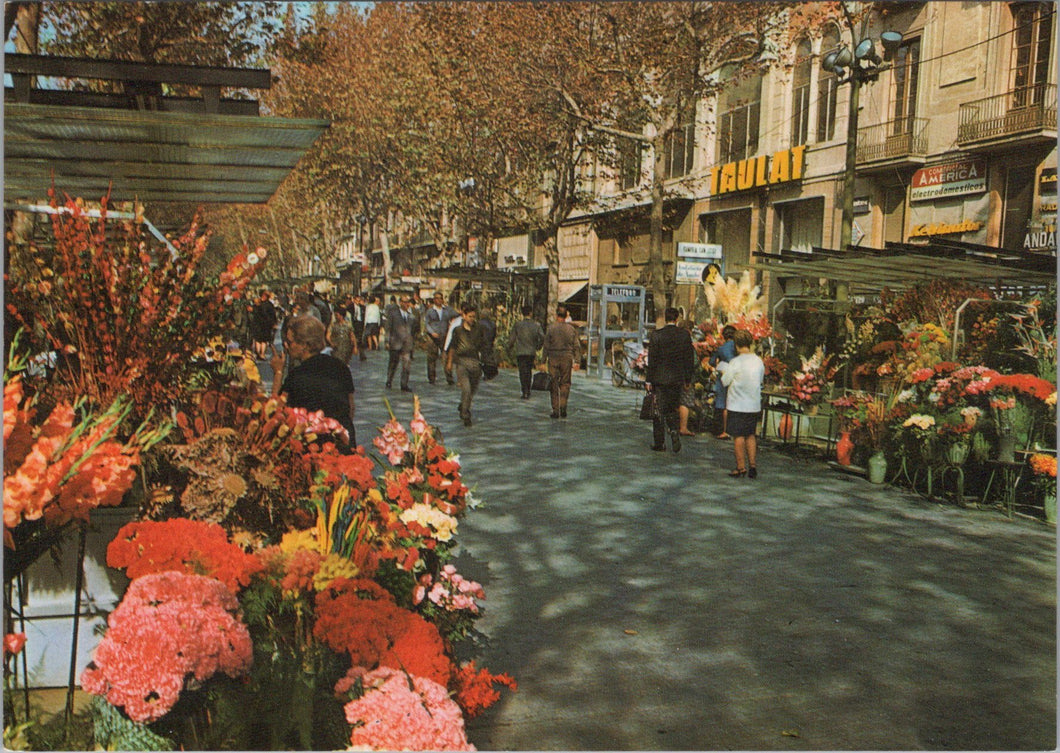 Spain Postcard - Barcelona, Rambla De Las Flores   SW17305