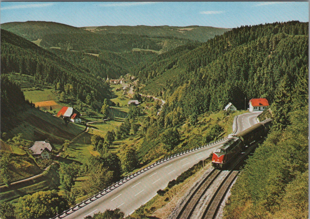 Germany Postcard - Nussbachtal Bei Triberg im Schwarzwald   SW17318