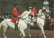 Load image into Gallery viewer, Animals Postcard - Royal Grooms at Trooping The Colour   SW17324
