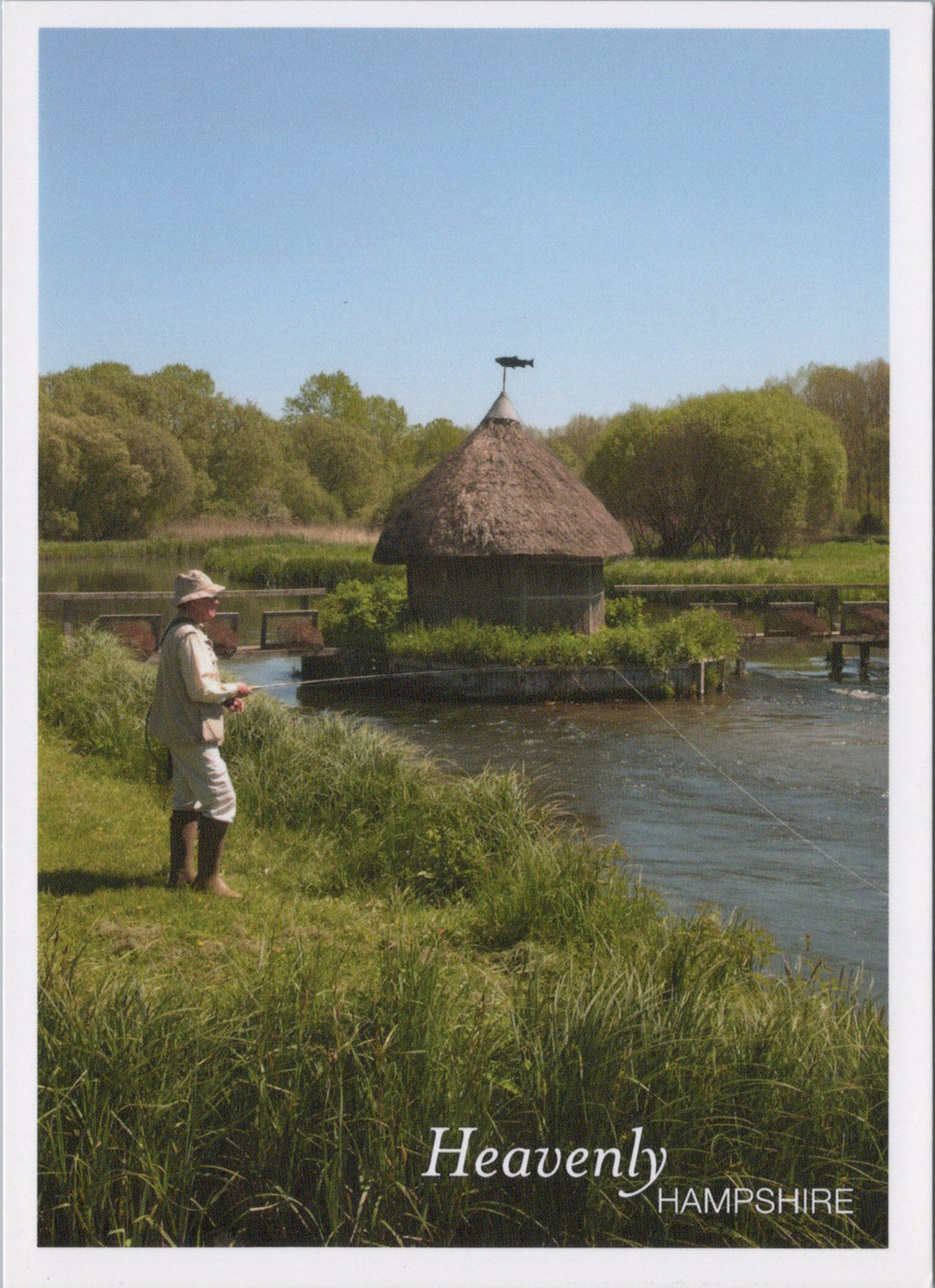 Hampshire Postcard - Fishing on The River Test   SW17434