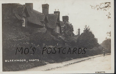 Hampshire Postcard - Row of Houses at Blackmoor, Nr Whitehill  MB1099