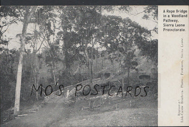 Sierra Leone Postcard - A Rope Bridge In a Woodland Pathway  MB1103
