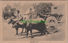 Load image into Gallery viewer, India Postcard - Indian Buffalo Cart - Animal Transport RS30865
