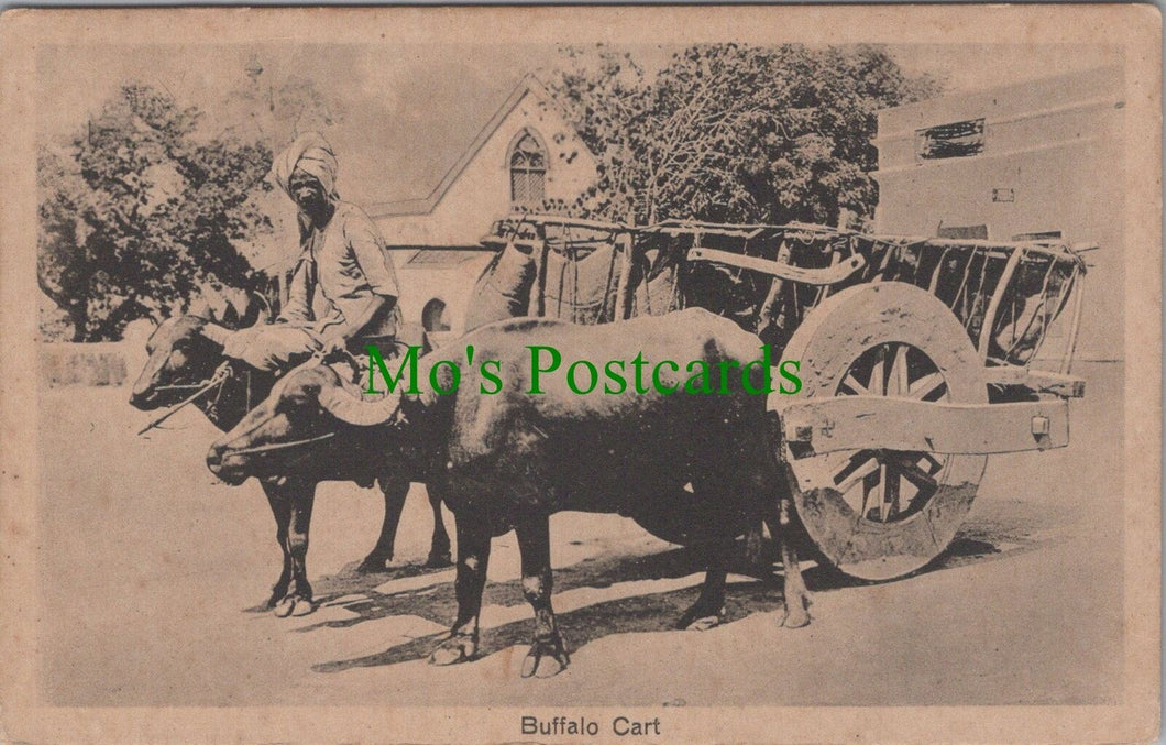 India Postcard - Indian Buffalo Cart - Animal Transport RS30865