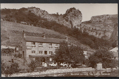 Somerset Postcard - Hillside Cottage Tea Rooms, The Cliffs, Cheddar    2502