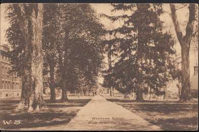 America Postcard - Westtown School, Walk Down The Lane   A5484