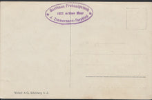 Load image into Gallery viewer, Switzerland Postcard - Gasthof Frohnalpstock Mit Den Beiden, Mythen  DD307
