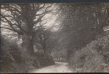 Load image into Gallery viewer, Unknown Location Postcard - Country Lane at Yeat, Devon or Cumbria?  A7429
