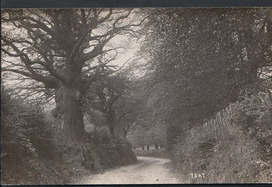 Unknown Location Postcard - Country Lane at Yeat, Devon or Cumbria?  A7429