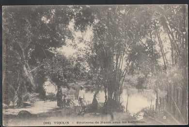 Vietnam Postcard - Tonkin - Environs De Hanoi Sous Les Bambous  DP508