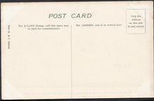 Load image into Gallery viewer, Surrey Postcard - Godson &amp; Dobson&#39;s Timberyard Fire Croydon 1905 - B631
