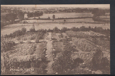 Leicestershire Postcard - Desford, View From The North East  RS6189