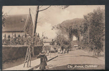 Load image into Gallery viewer, South Africa Postcard - The Avenue, Claremont     RS15733
