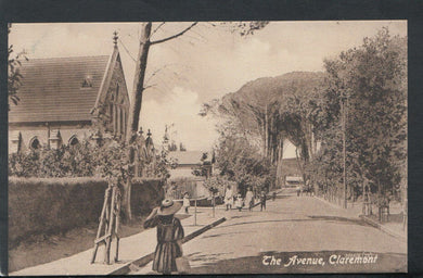 South Africa Postcard - The Avenue, Claremont     RS15733