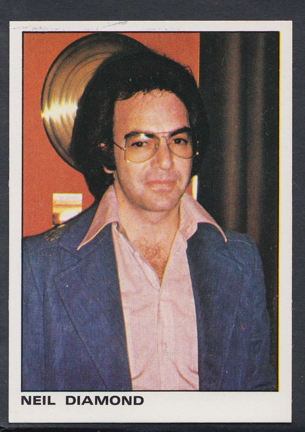 Panini Rock & Pop Collection Music Sticker No 16 - Neil Diamond 